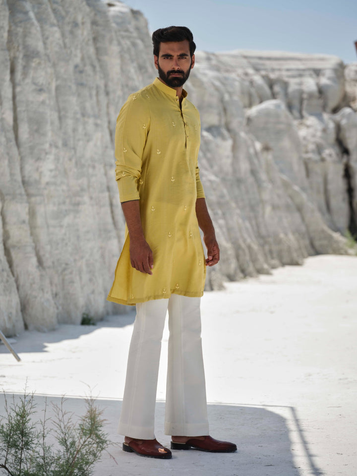 Lime Crest  - Embroidered Kurta Set