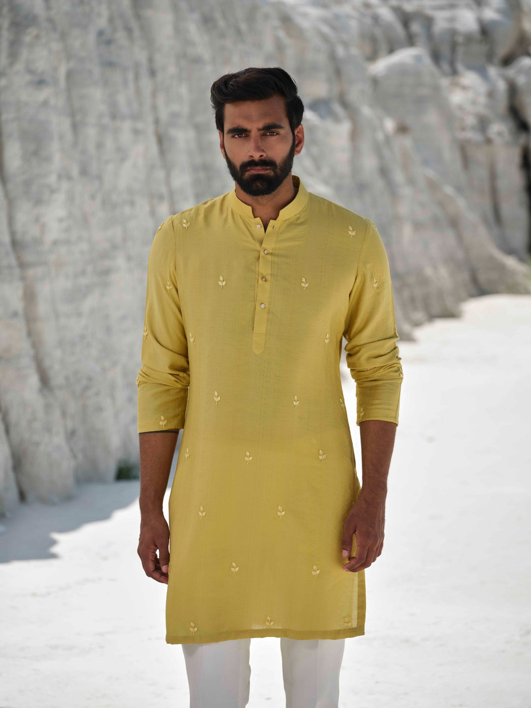 Lime Crest  - Embroidered Kurta Set