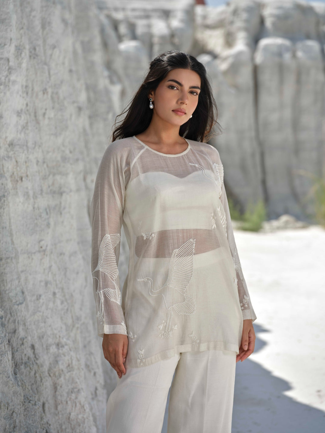 Aureal - Sheer Ivory Embroidered Co-ord Set