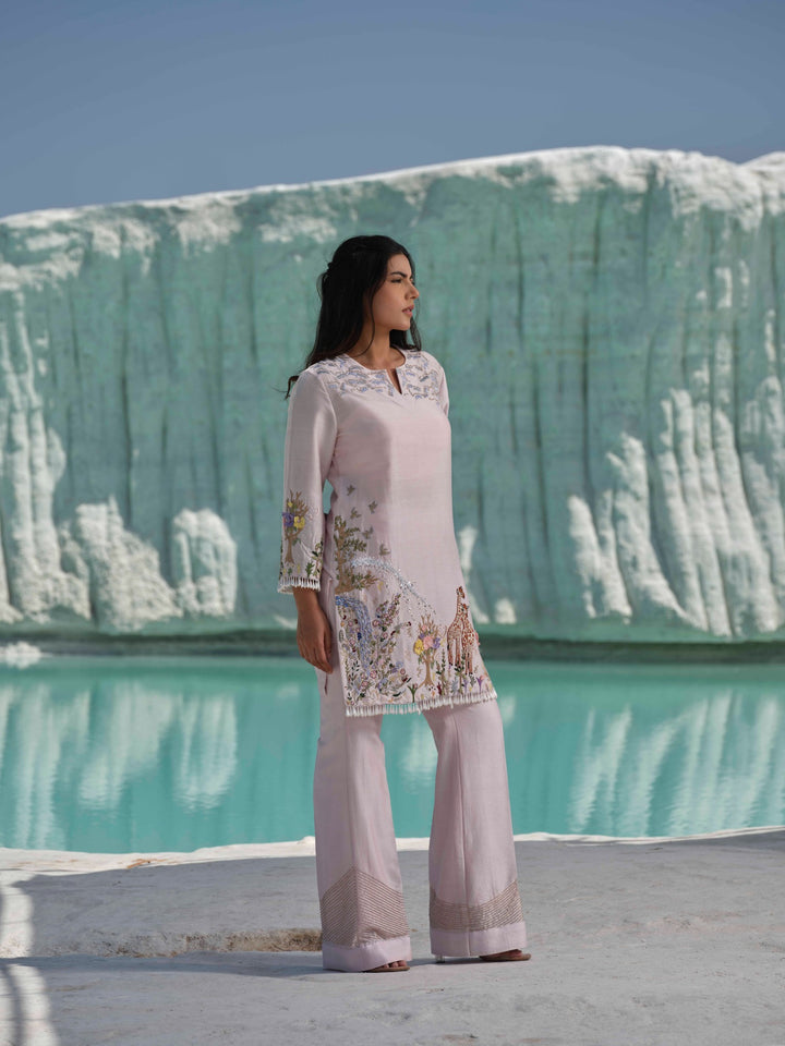 Alenya - Pastel embroidered Coord Set