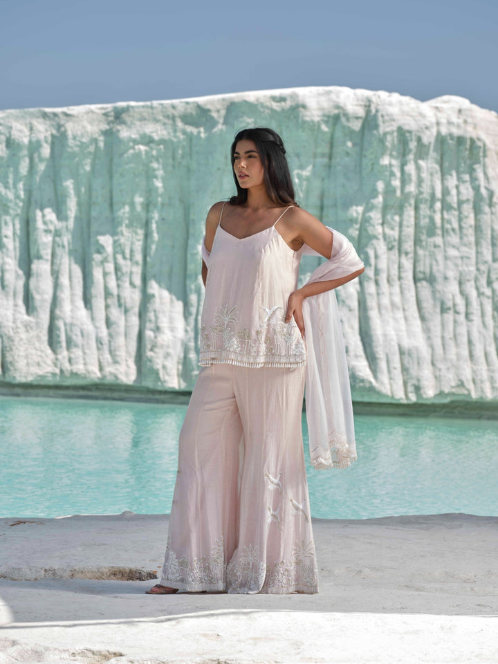 Marizia - Blush Toned Embroidered  Set With Stole