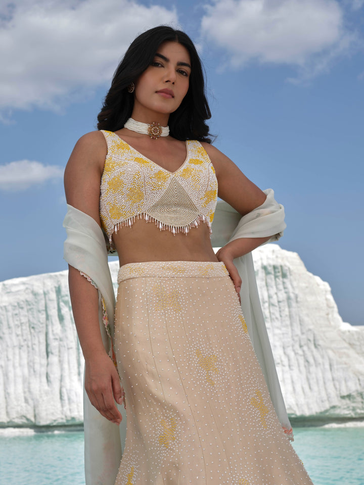 Amoriya - Rosegold Embroidered Lehenga Set